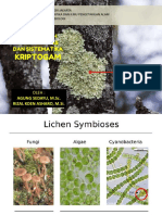 BSK Lichen