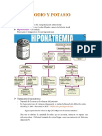 SODIO Y POTASIO (Recuperado Automáticamente)