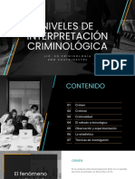 Niveles de Interpretación Criminológica