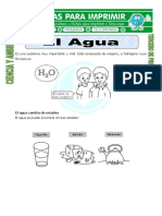 Ficha El Agua para Tercero de Primaria