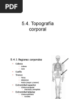 Topografia Corporal