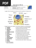 CER Cell Structure Lab