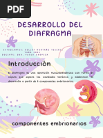 Formacion Del Diafragma