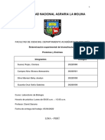 Informe 2 - Proteinas y Enzimas