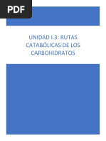 UNIDAD I. CARBOHIDRATOS. Rutas Anabólicas de Los Carbohidratos