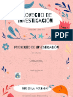 Consulta Proyecto de Investigacion