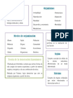 FLASHCARDS BIOLOGIo