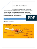 IV Cannulation