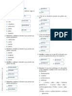 Ficha 4to Sec - Formación de Palabras