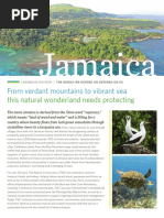 Caribbean Jamaica Fact Sheet