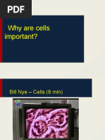 02 - Cells Powerpoint