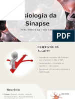 Fisiologia Da Sinapse: Profa. Sheila Braga - Braz Cubas