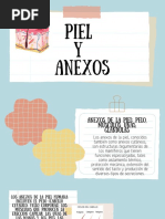 Piel y Anexos.