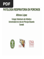 05 Patología Respiratoria en Porcinos. DR Alfonso Lopez