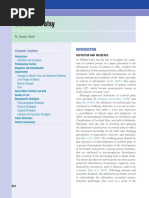 Cerebral Palsy: N. Susan Stott