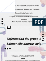 Enfermedad Grupo 1