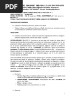 PDF Documento