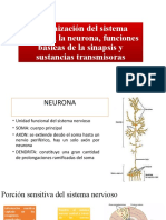 Organización Del Sistema Nervioso, La Neurona, Funciones Básicas de La Sinapsis y Sustancias Transmisoras