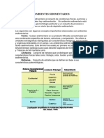 Ambientes Sedimentarios: Facies.-Cuerpo Sedimentario (O Su Producto Litificado) Caracterizado Por