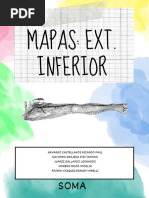 Mapas Relacionados A Ext Inferior