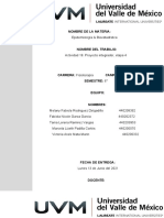 PDF Documento