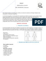 Objetos A Estudiar: 1. Posición Anatómica