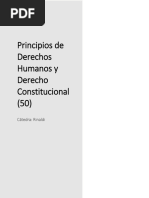 Organizador Accesible - Principios de Derechos Humanos y Derecho Constitucional - 1C - 2023