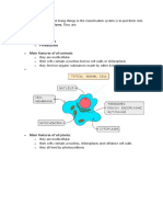 Classification Notes