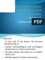 Aspects of Culture and Society