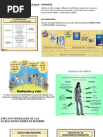 Efecto de Las Radiaciones Sobre El Hombre