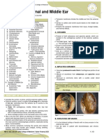 Trans SaVi Oto Lec 03 Diseases of The External and Middle Ear