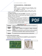 Manual Correccion Ed Cta 1ro Sec