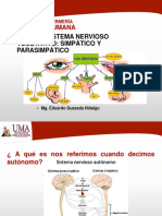 SEM07 - Teoría 7 Sistema Nervioso Vegativo - Autónomo