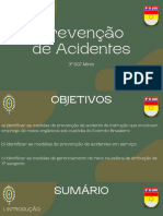 Prevenção de Acidentes: 3º SGT Minto