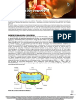 E07 - Desarrollo Del Corazon 2021 Web 51-60