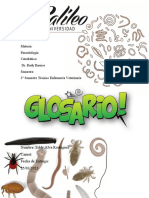 Glosario 2023 E&P 2