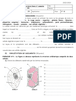 Devoir 2 1ère L2