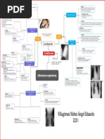 Infecciones Respiratorias Villagómez Núñez Angel Eduardo 2231