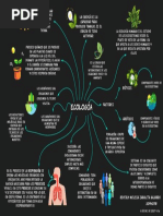 Mapa Mental Ecología