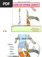 Knee Structure