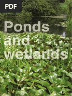 Ponds and Wetlands