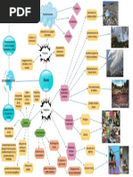 Mapa Conceptual Final