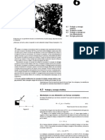 Fisica - Tipler - Vol 1. Cap 6 TRABAJO Y ENERGIA