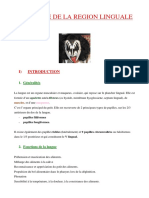 Anatomie de La Région Linguale