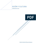 Comunicación Y Cultura: Trabajo Practico Administracion