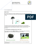 Plan de Continuidad Pedagógica Ciencias Naturales - 5° A, B, C, Y D