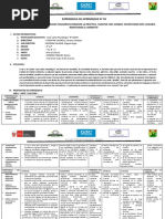 1° y 2° Experiencia 3