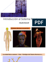 Anatomia SNC CLAUDIO