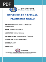 Universidad Nacional Pedro Ruiz Gallo