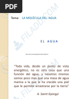 1 Molecula de Agua